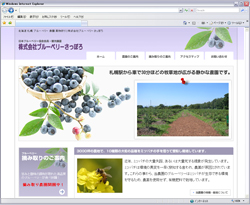 株式会社ブルーベリーさっぽろ 様